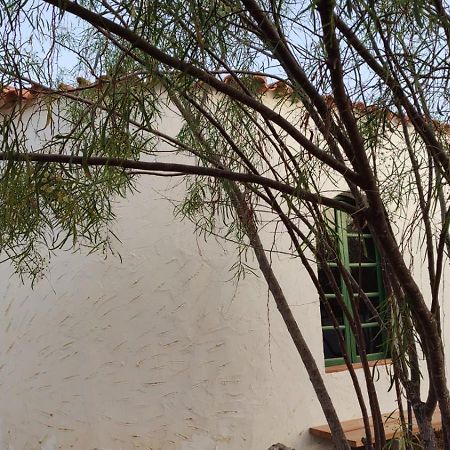 Alojamiento Fuerteventura Tikuna La Oliva Eksteriør billede
